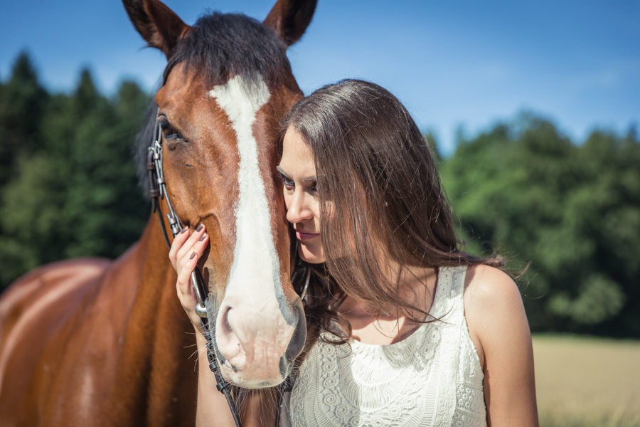 fotoshooting-pferd-7315