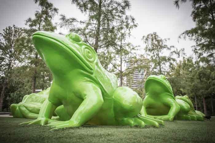 Ferienfotos Tipps - Frog Perspective